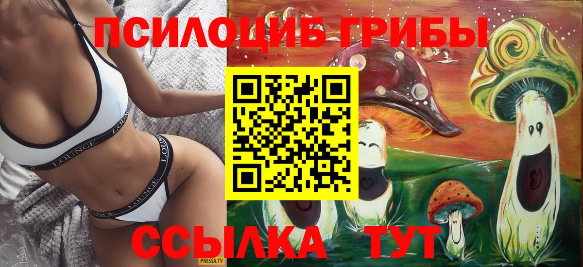 Галлюциногенные грибы GOLDEN TEACHER  Вход с VPN  Печора 